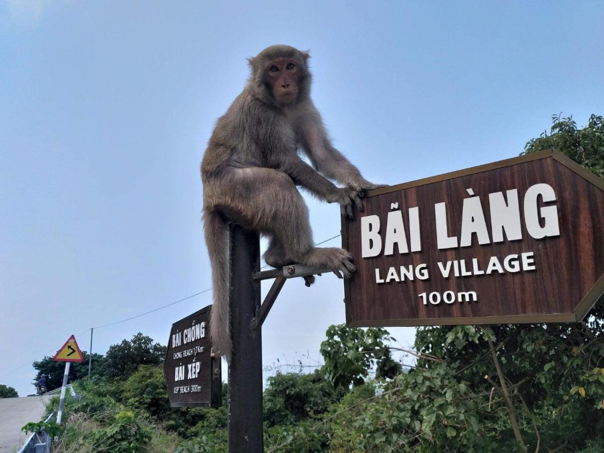 Monkeyland Cham Island Homestay Tân Hiệ 外观 照片